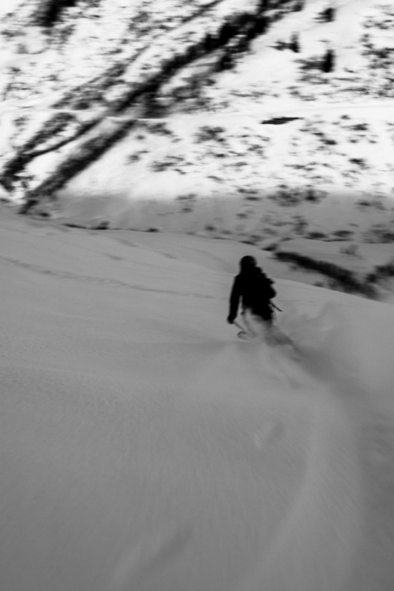 Sharp minds in steep terrain with Silvia Moser for Women