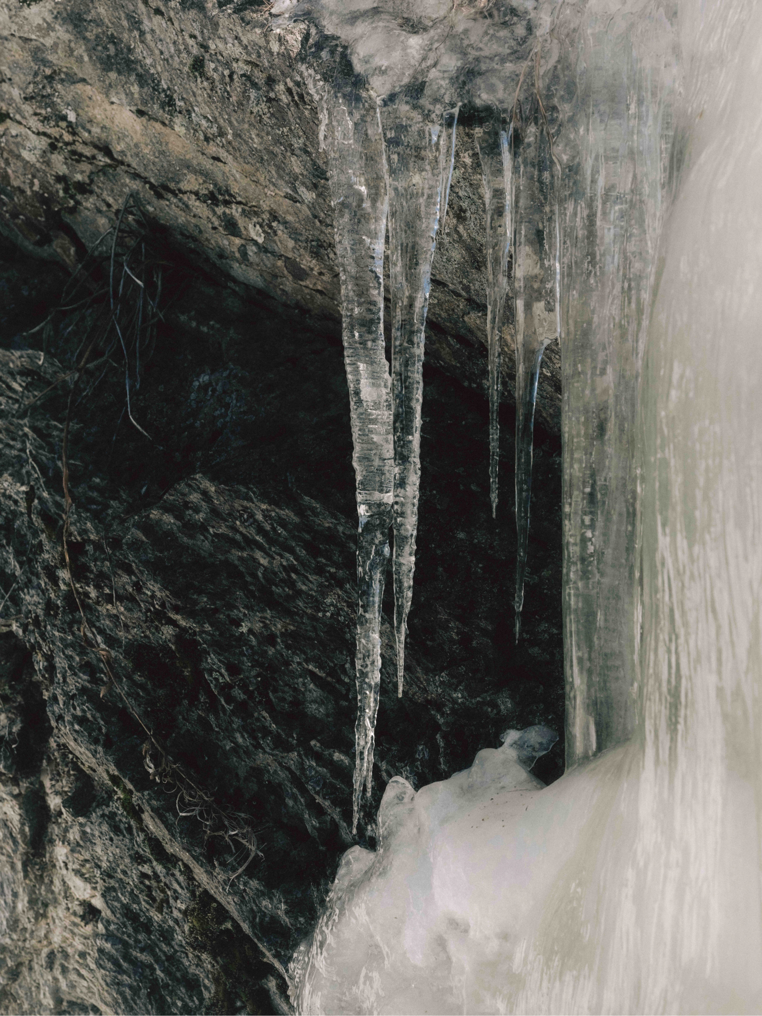 Sharp minds in steep terrain with Silvia Moser for Women